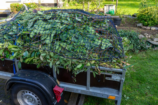 Best Furniture Removal  in Sparta, IL